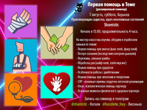 Мастер класс первая поиощь в Теме