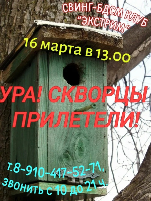 СВИHГ-БДСМ КЛУБ "ЭКСТРИМ". СКВОРЦЫ ПРИЛEТEЛИ!